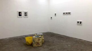 ON MEETING THE 100% PERFECT GIRL, installation view
