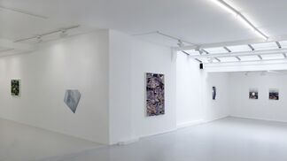 Letha Wilson - Look With Your Hands, installation view