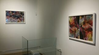 Fractal Realities, installation view