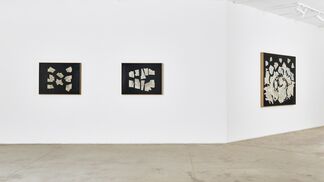 Gerhard Marx: Ecstatic Archive, installation view