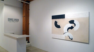 Denise Green: Paintings, Drawings, Photographs, installation view