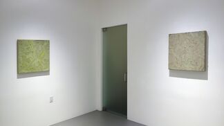 Alan Ebnother: twelve paintings, installation view