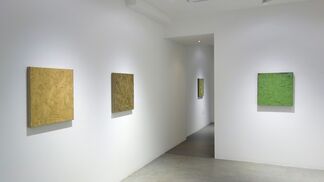 Alan Ebnother: twelve paintings, installation view