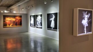 Roberto Lombana -  Light and Movement, installation view