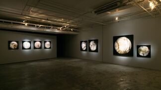 PlusⅡ—Chiang Yomei + Charwei Tsai, installation view