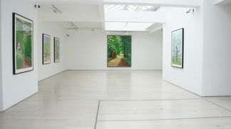David Hockney: The Arrival of Spring, installation view