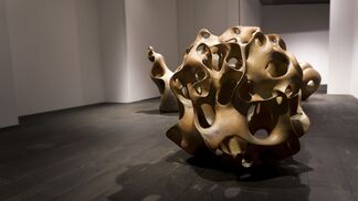 Toru KUROKAWA : The savage math, installation view