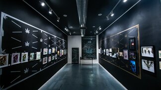 The Cannabis Art Show, installation view