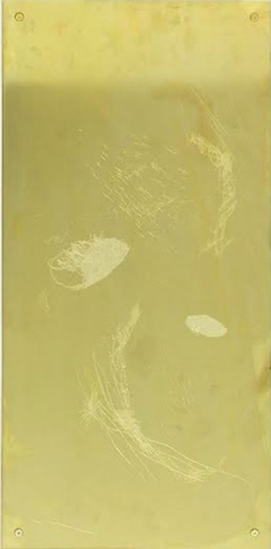 Plaque 15