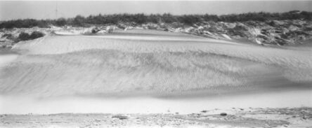 Thaddeus Holownia, ‘Dune Structure, Sable Island, Nova Scotia, June’, 1984