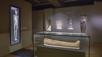 Egyptian Mummies: Exploring Ancient Lives, installation view