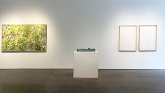 CARROLL TODD | Earth and Water, installation view
