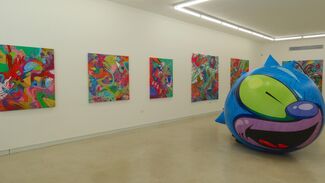 Beneath the Surface, installation view