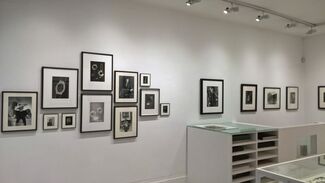 The Psychic Lens – Surrealism and the Camera, installation view