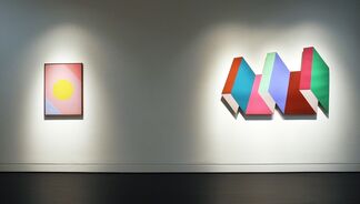 DOWNING, MEHRING, REED, installation view