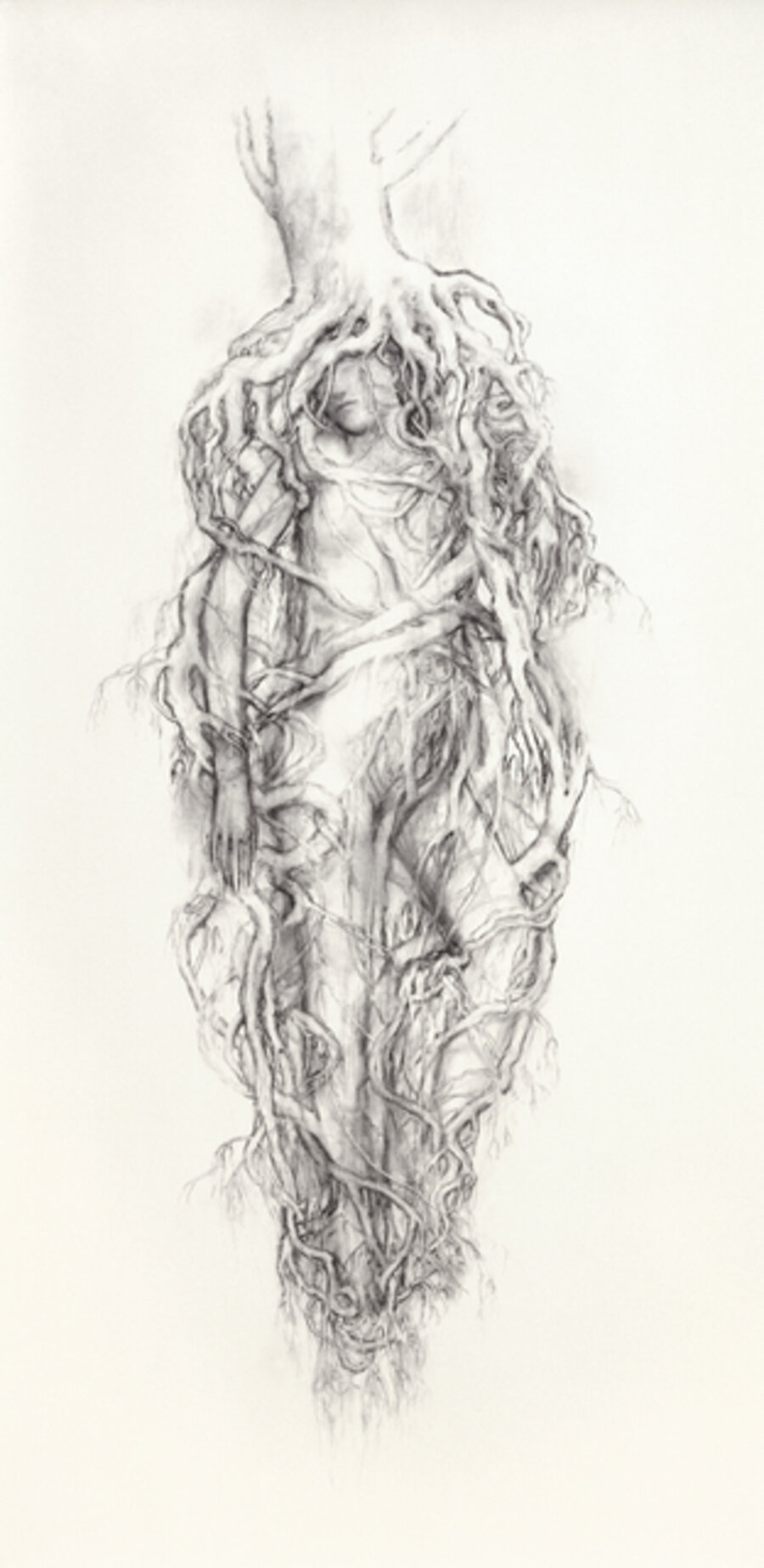 Untitled (Roots)