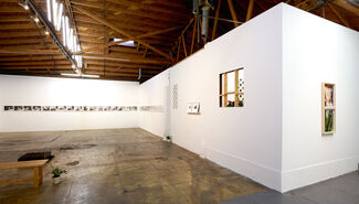 TO HIDE TO SHOW, installation view