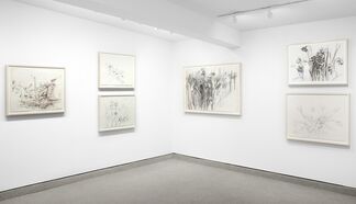 MICHAEL MAZUR: Drawings, 1959 - 2009, installation view