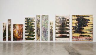 Matthew Brandt: Pictures from Waianae, installation view