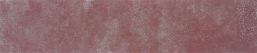 Bush Plum (4-508)