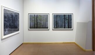 Michael Lange: WALD | fluss, installation view