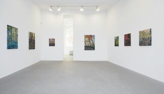 Robert Terry: The Landscape, installation view