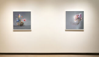 Matthew McConville • Flowers for the Anthropocene, installation view