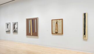 Painting Paintings (David Reed) 1975, installation view