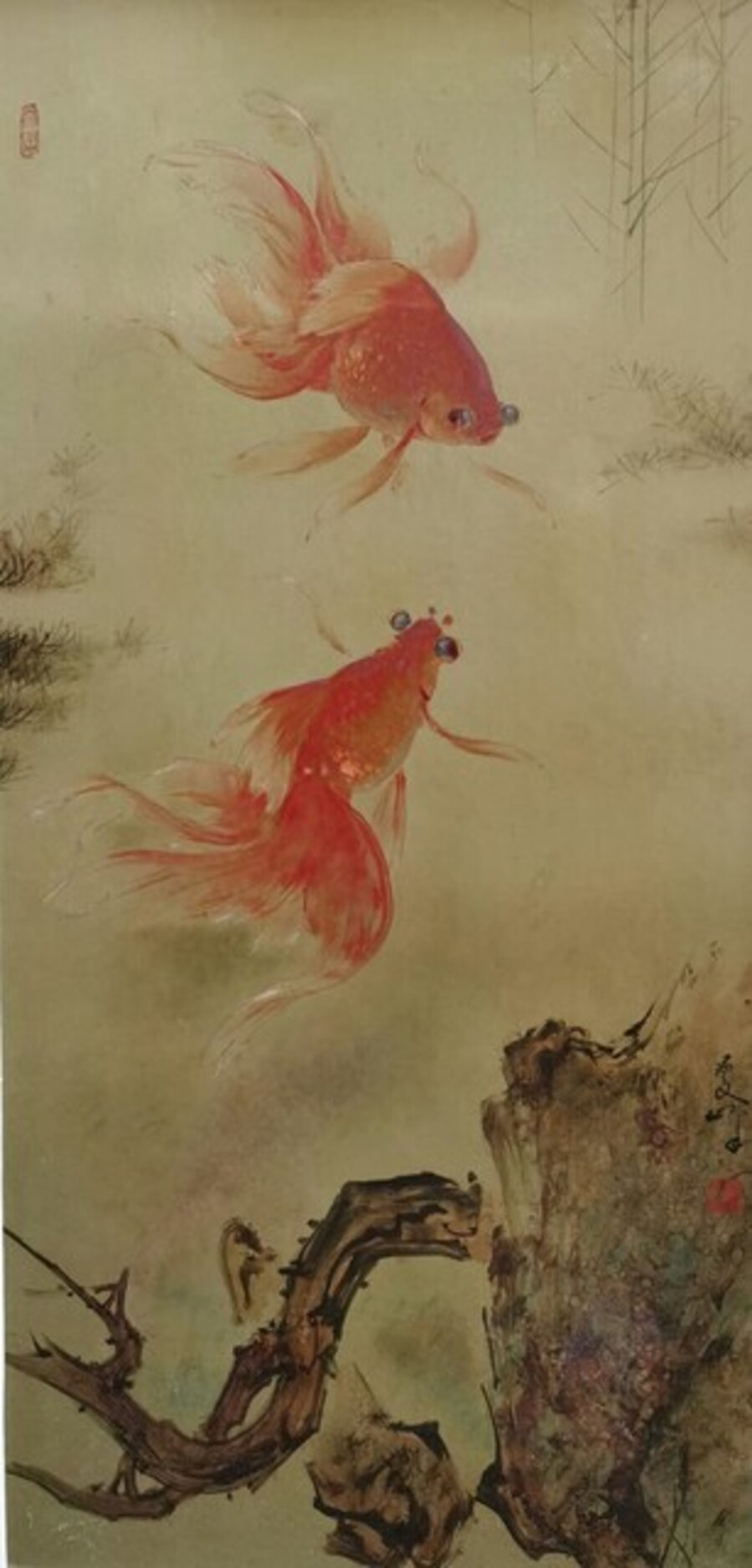 Gold Fish