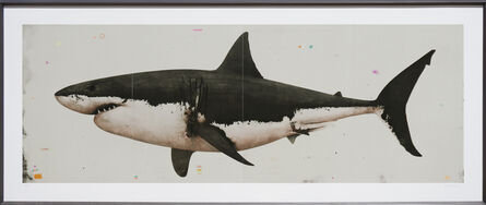 David Morago, ‘White Shark’, 2020