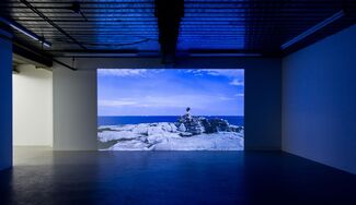 Marcus Coates - The Last of Its Kind, installation view