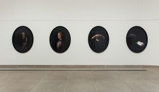 Hammer Projects: Catherine Opie: Portraits, installation view