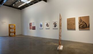 NOT PHOTOGRAPHY, installation view