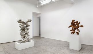 Tony Cragg: Recent Sculptures, installation view