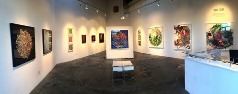 COAST TO COLOR: 2016 Group Exhibition, installation view