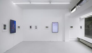 Ken Okiishi: Eggleston und Andere, "reality bites", installation view