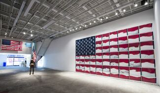 Natalie White For Equal Rights (WhiteBox), installation view