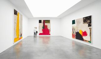 Sterling Ruby — WIDW, installation view