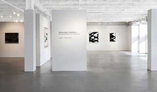 Alexandra Hedison: Everybody Knows This is Nowhere, installation view