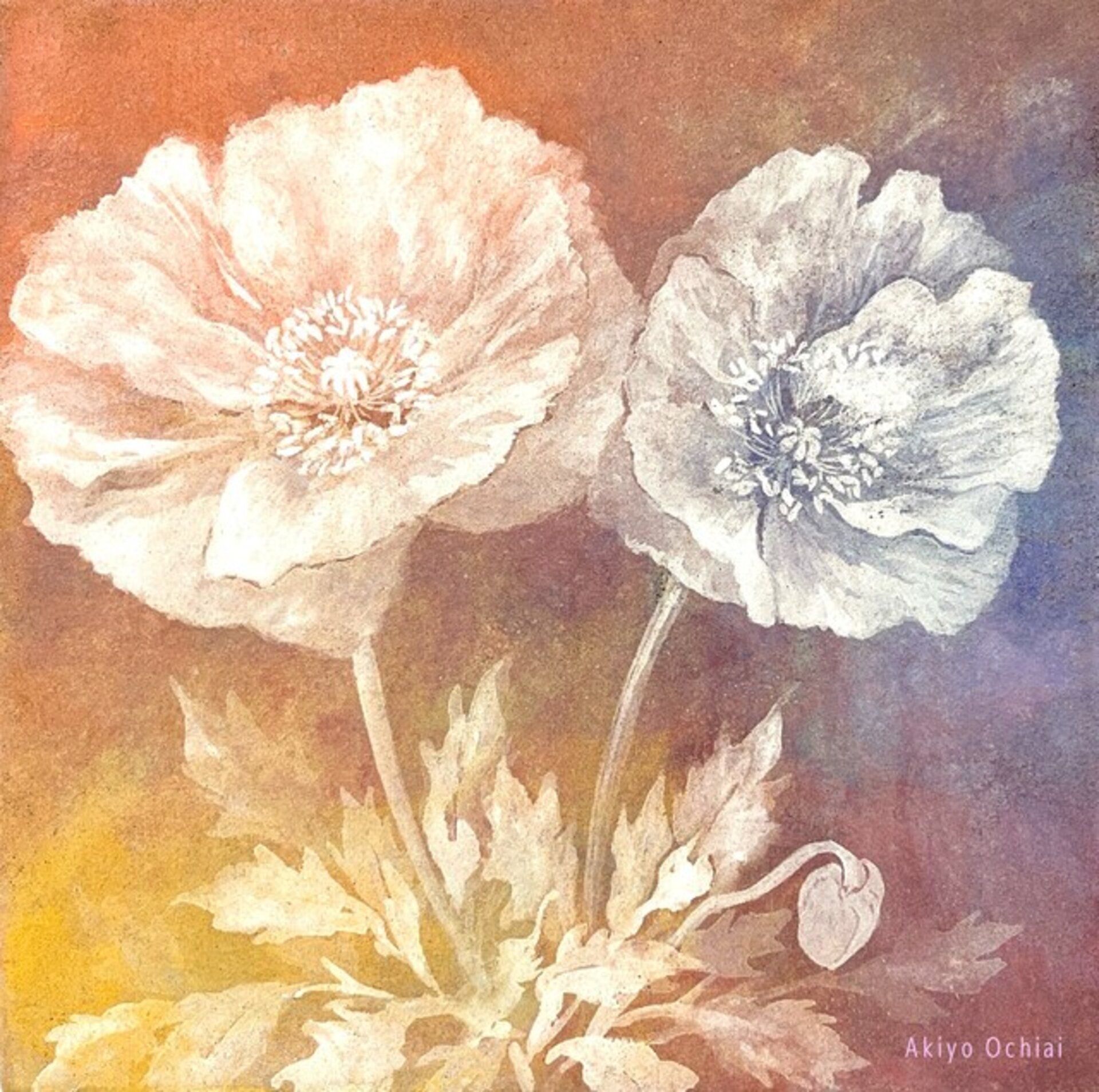 Flower Sound – Canon – -keshi-
