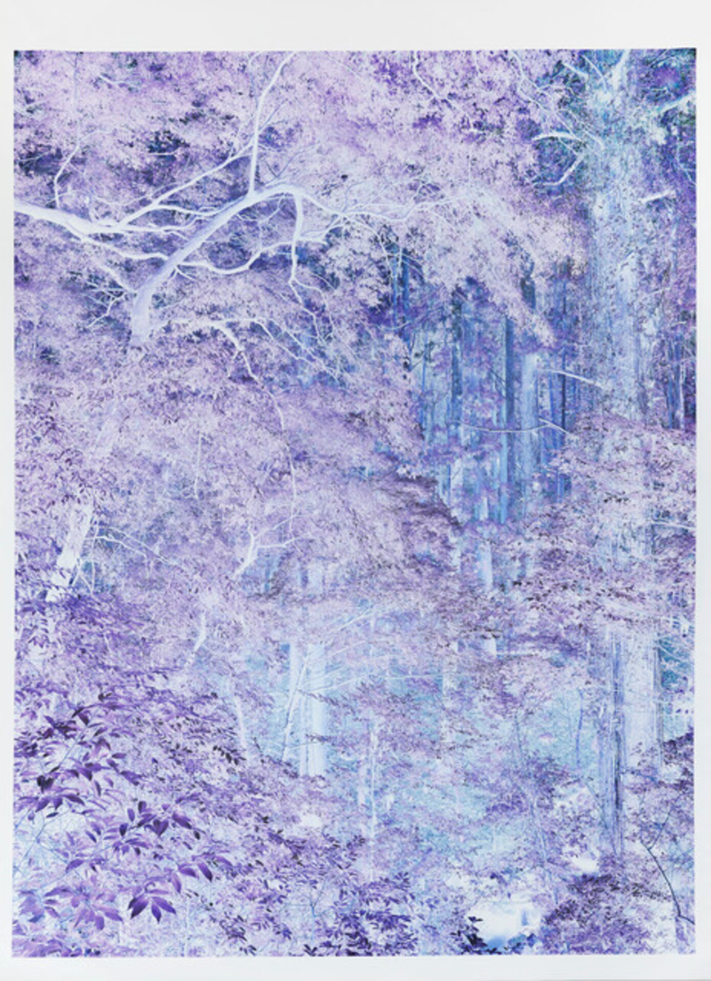 Nara