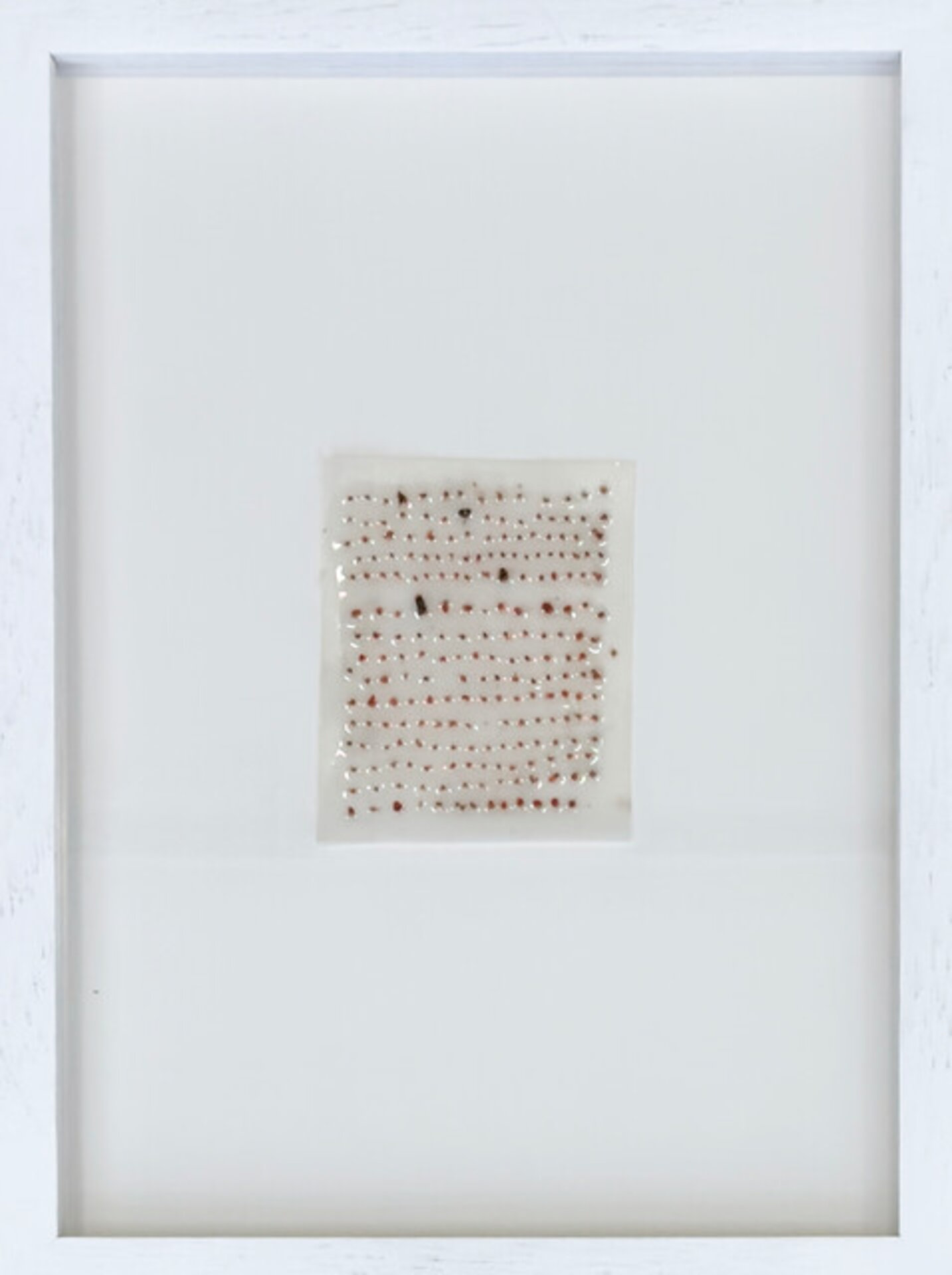 Seeds of Grief