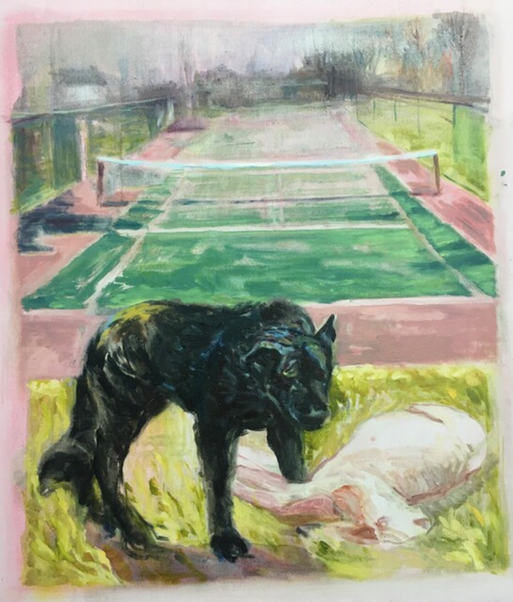 Dog