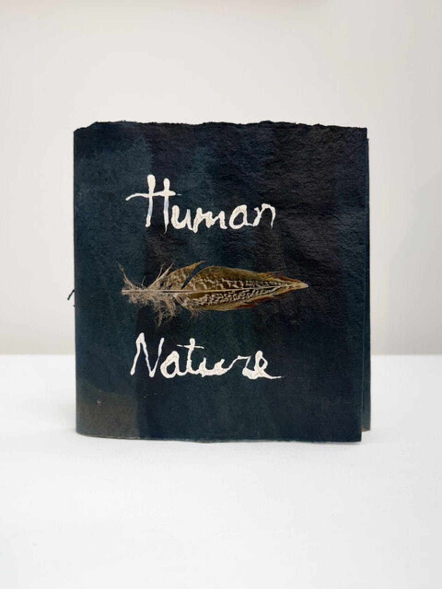 Human Nature: Oxymoron