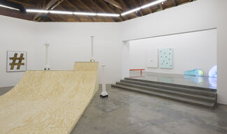 Gabriele De Santis: The dance step of a watermelon while meeting a parrot for the first time, installation view