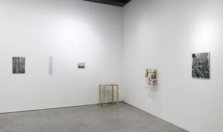 Galeria Luisa Strina at Art Basel 2014, installation view