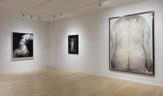 Nude: From Modigliani to Currin, installation view