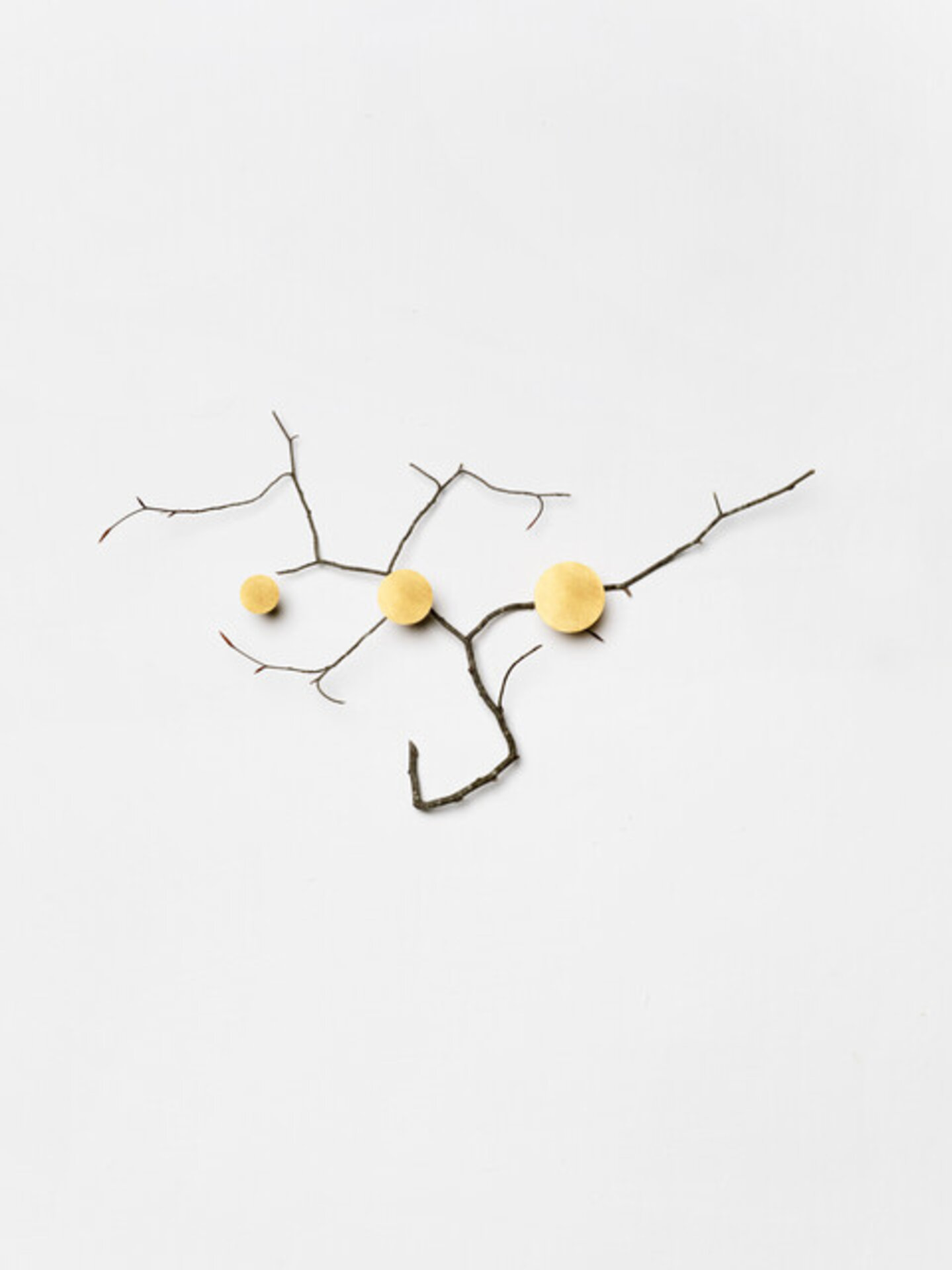 Branch with gold accents