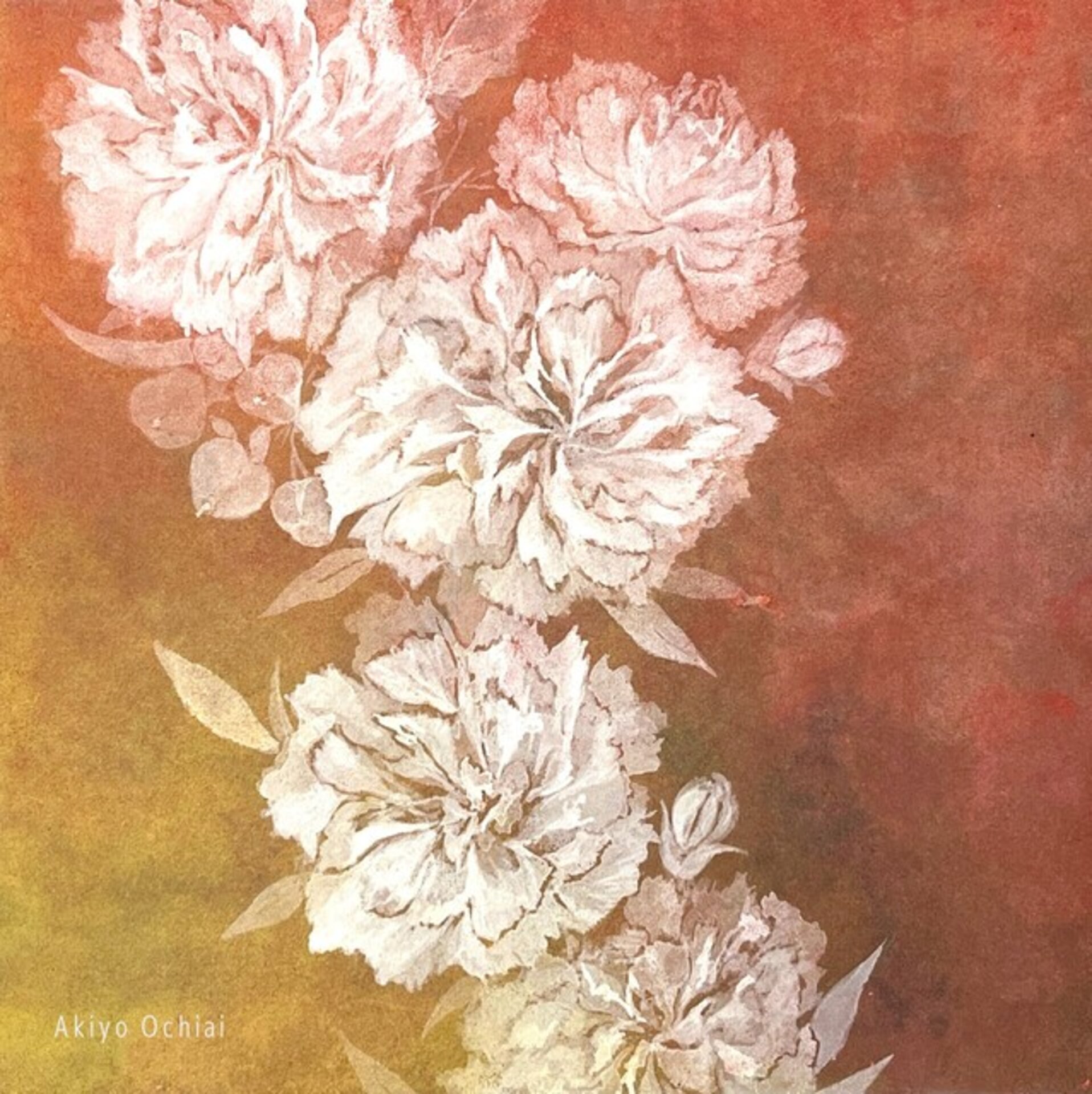 Flower Sound – Canon – carnation