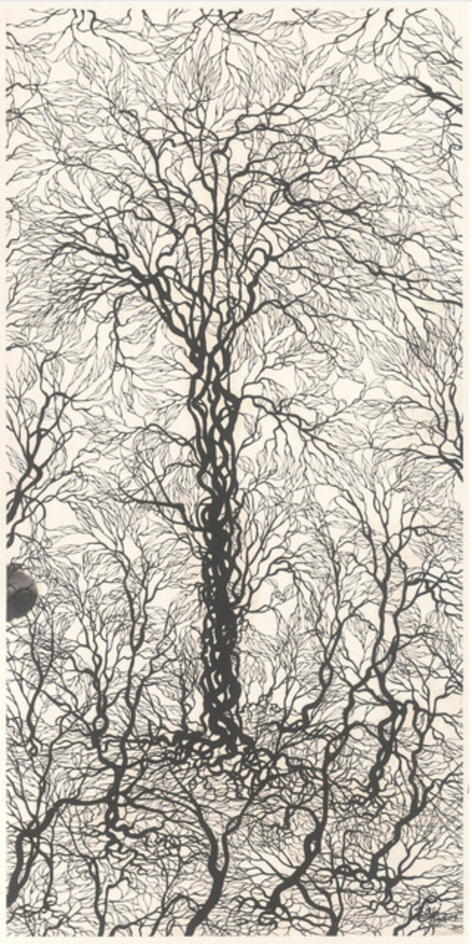 Shore·Freehand Expression 彼岸树·写意